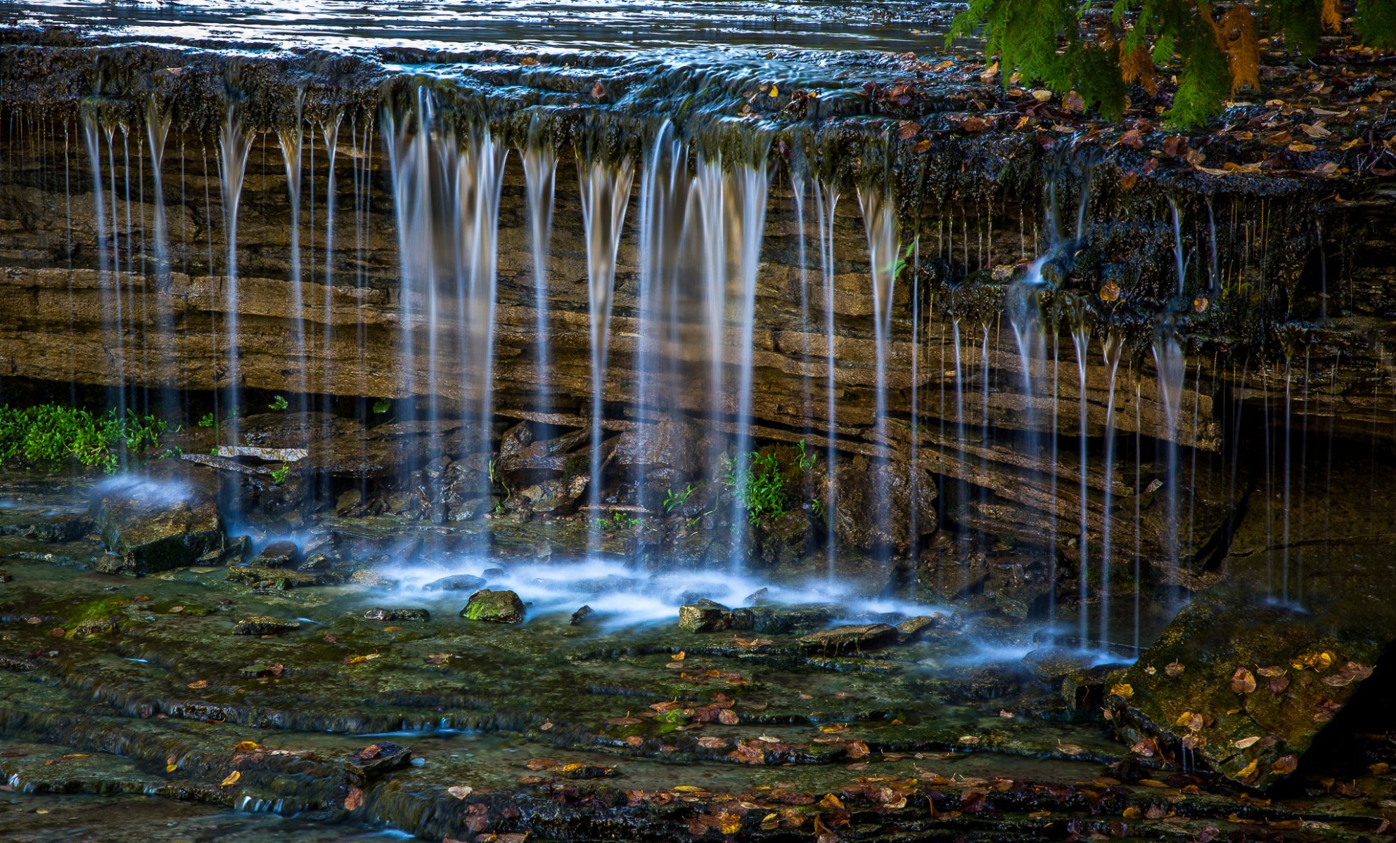 corriente arroyo cascada piedras otoño hojas