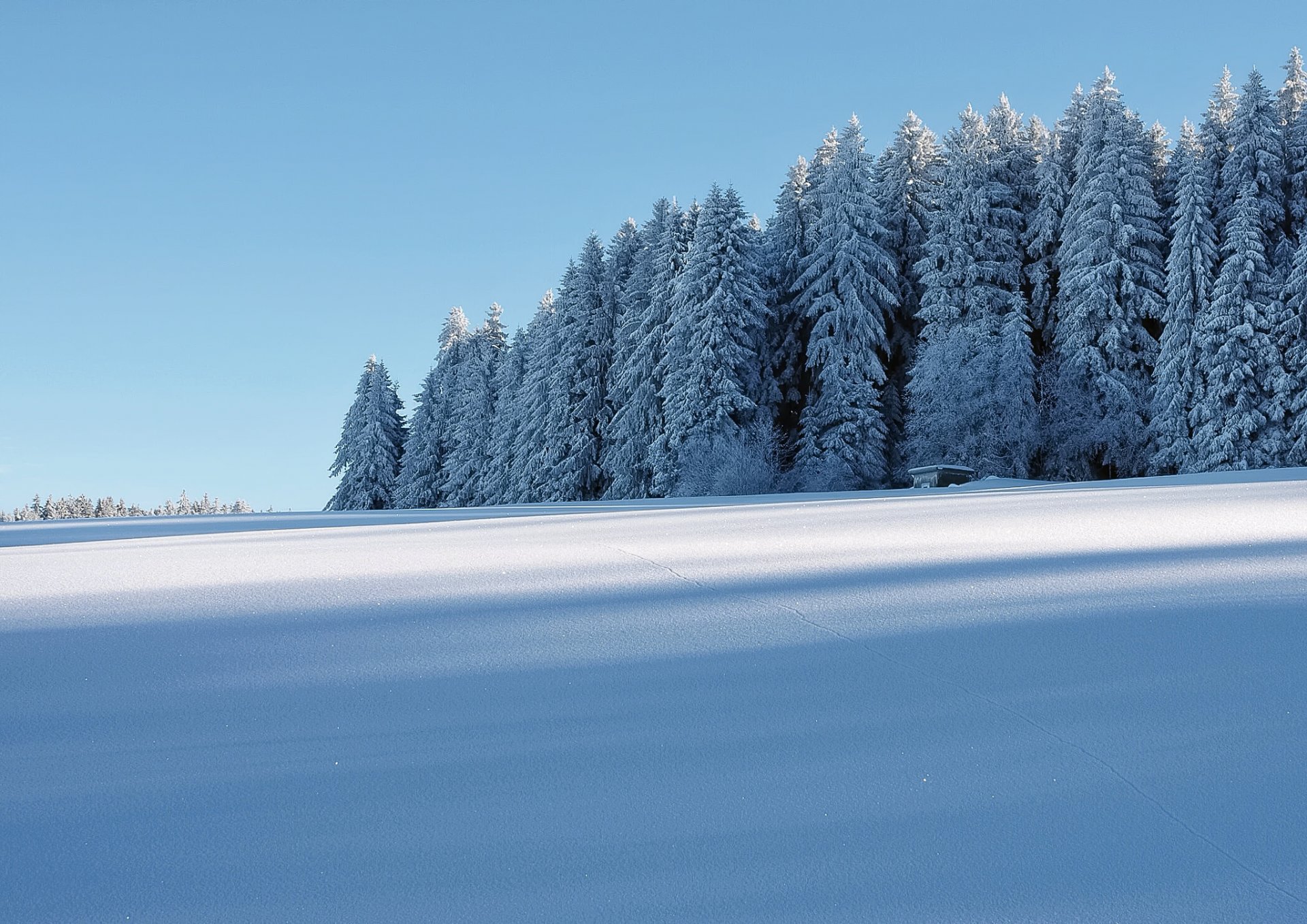 inverno neve foresta casa gelo