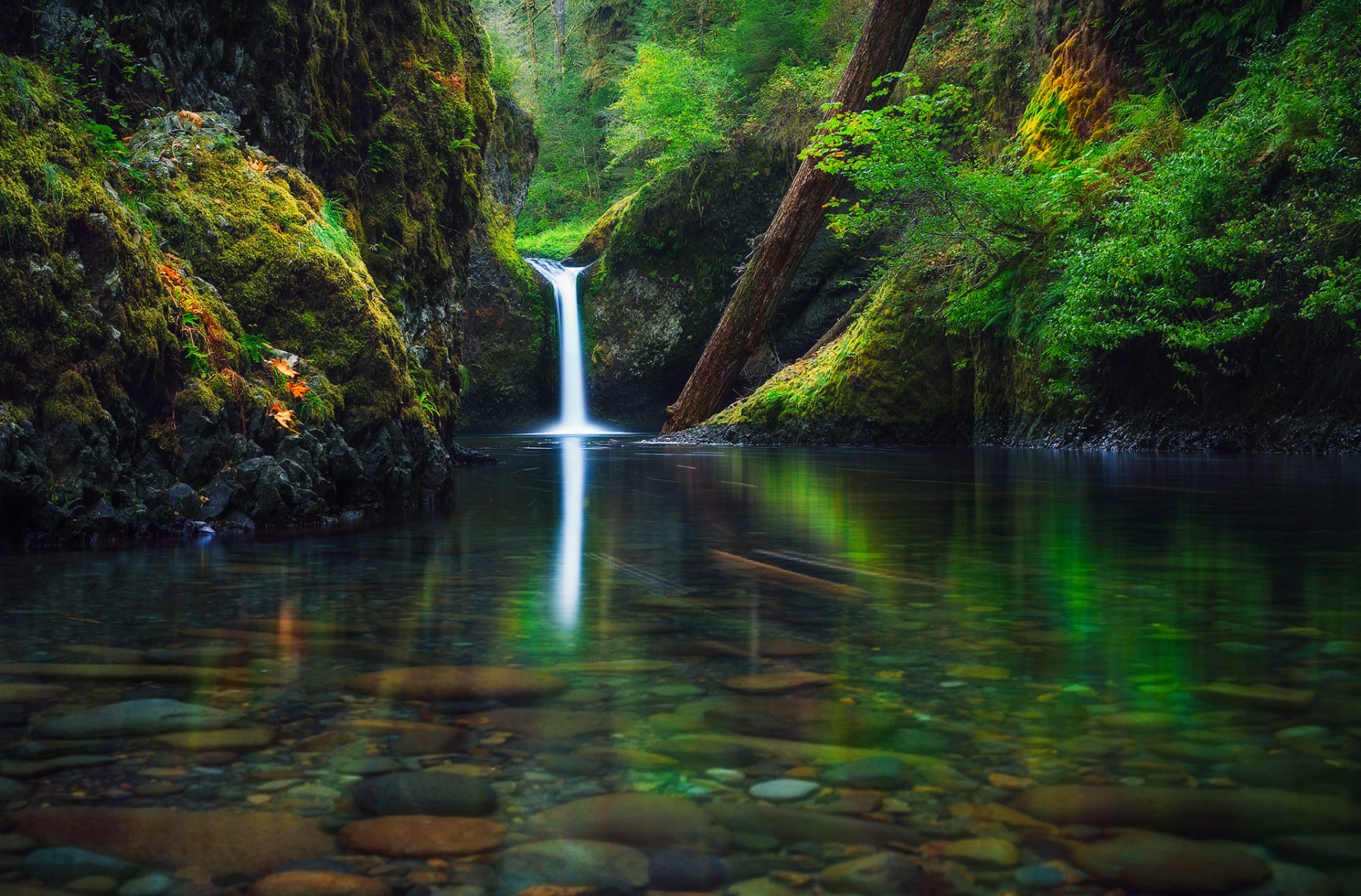 united states state oregon waterfall river forest autumn september