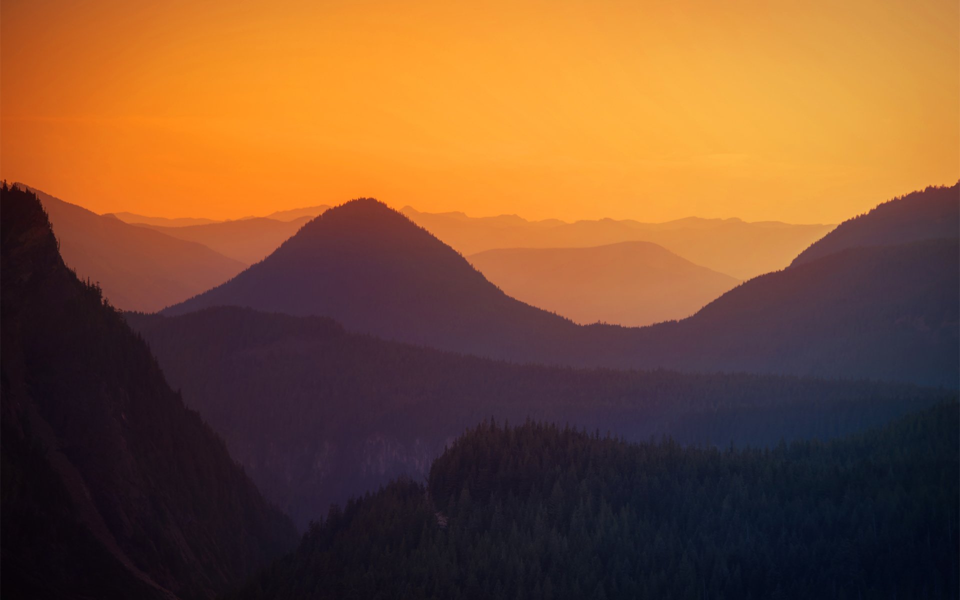 hills sunset tree view