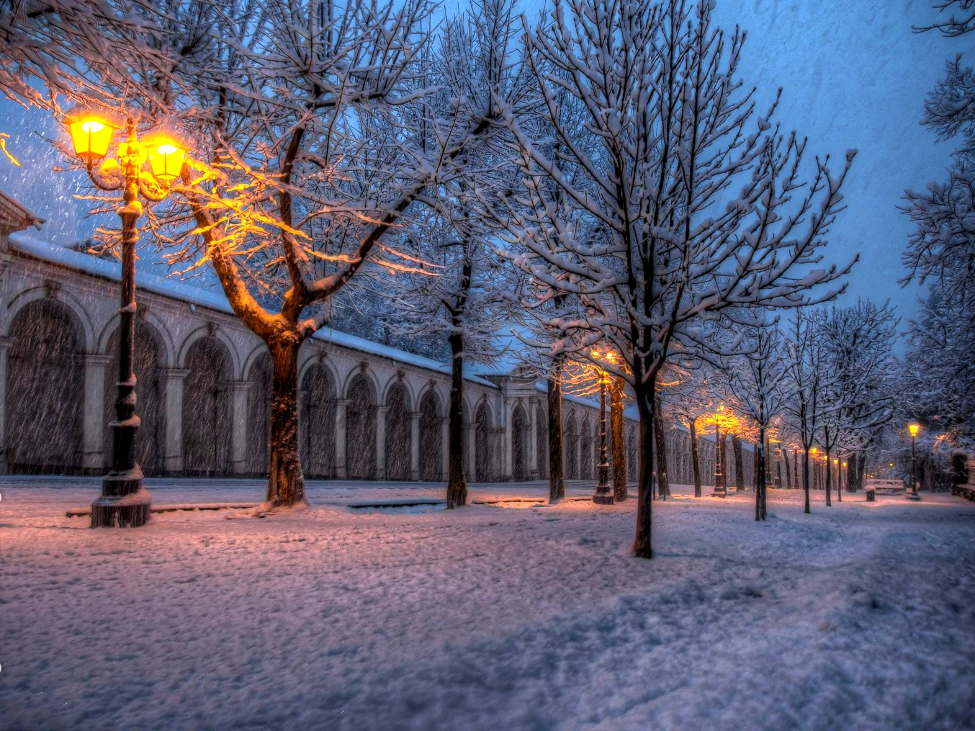 naturaleza invierno nieve árboles