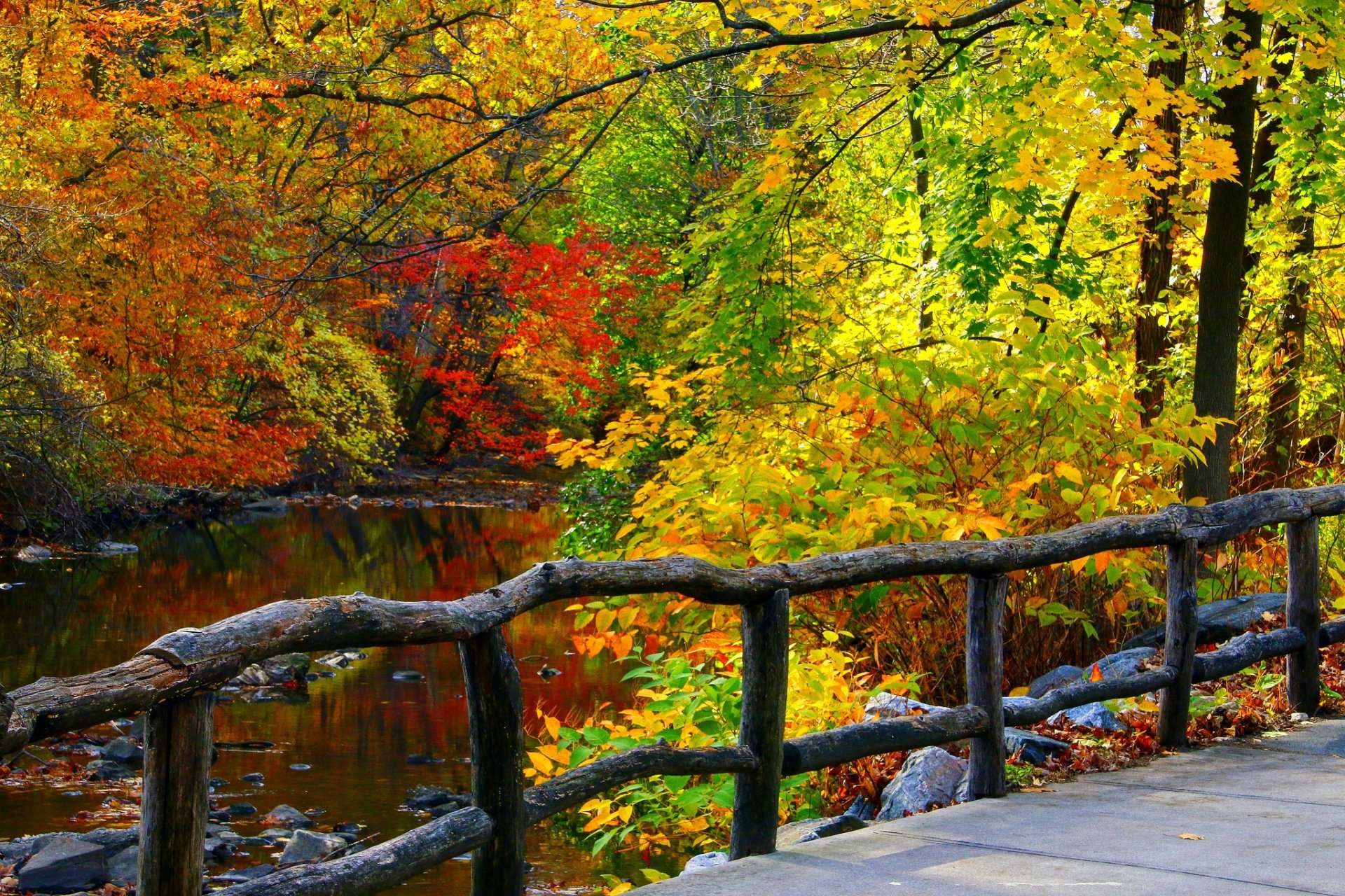 nature rivière eau forêt parc arbres feuilles coloré automne automne couleurs marche montagnes