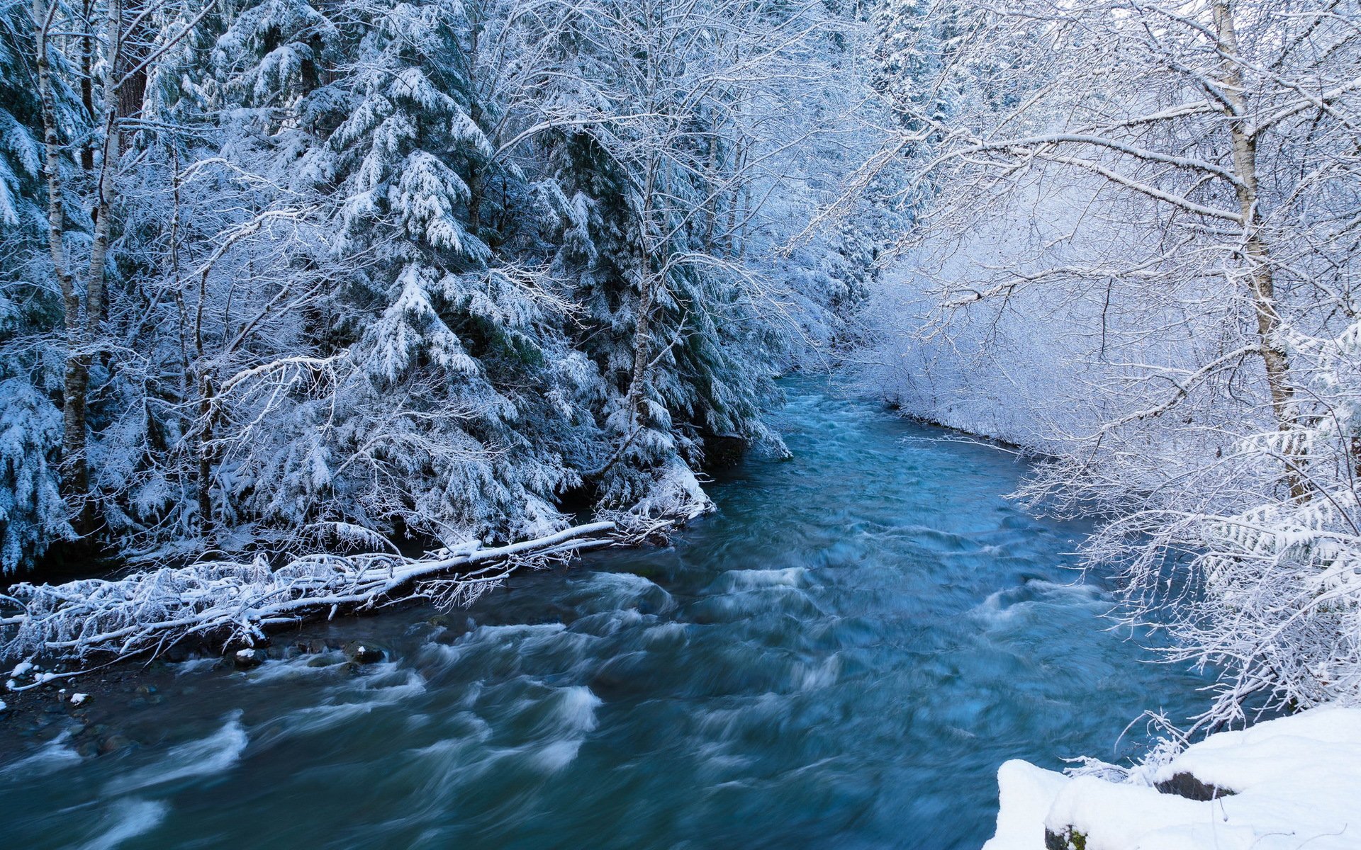 wald fluss strom schnee winter