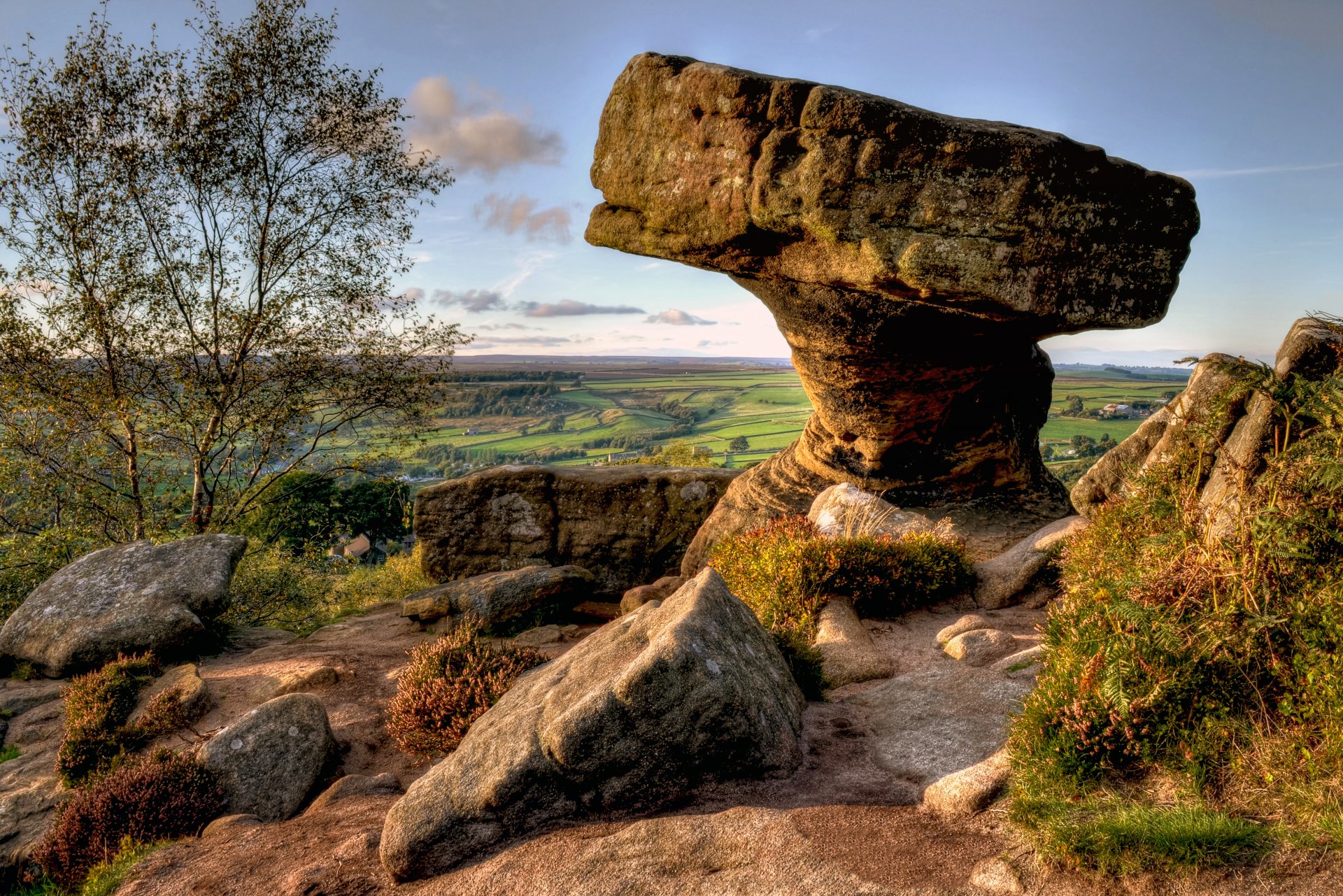 yorkshire du nord angleterre pierre paysage arbre herbe horizon ciel