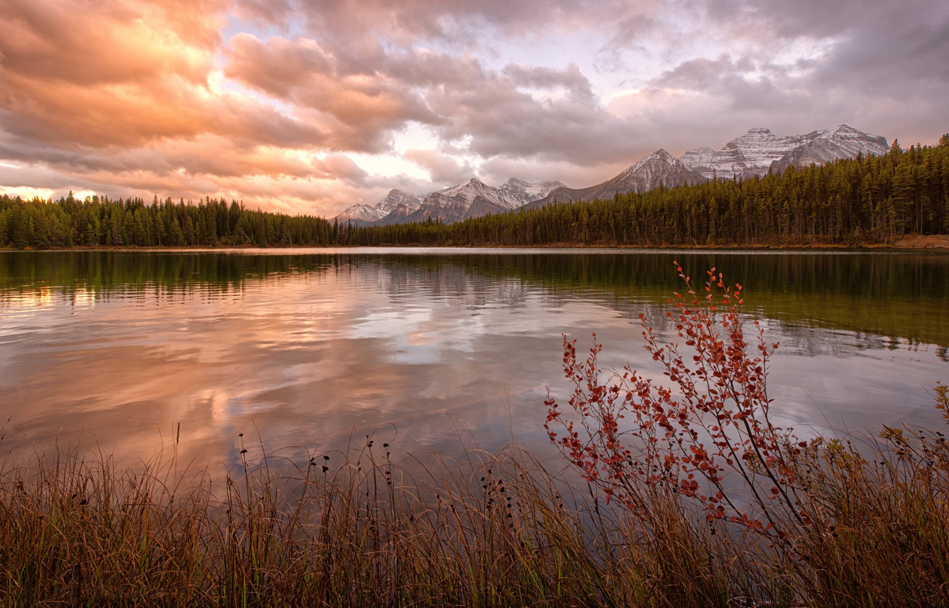 canadá montañas bosque lago kara herbert hierba. arbusto