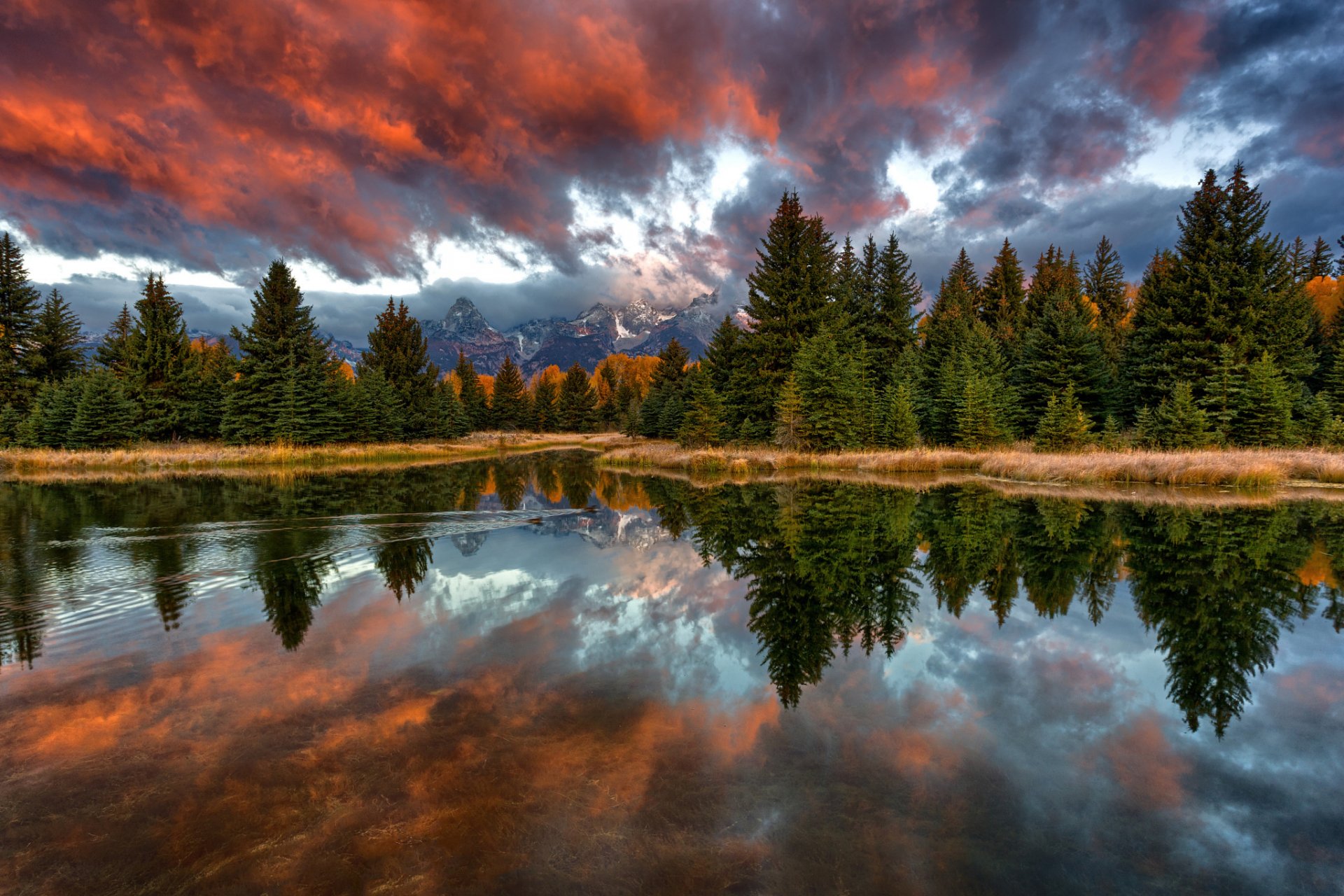 nature usa wyoming parc national de grand teton rivière snake schwabachers plantation matin forêt montagnes ciel nuages réflexion canards