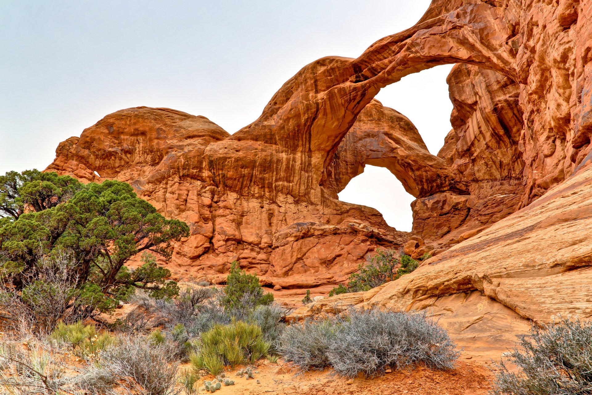 arco parco nazionale usa rocce arco cielo alberi cespugli