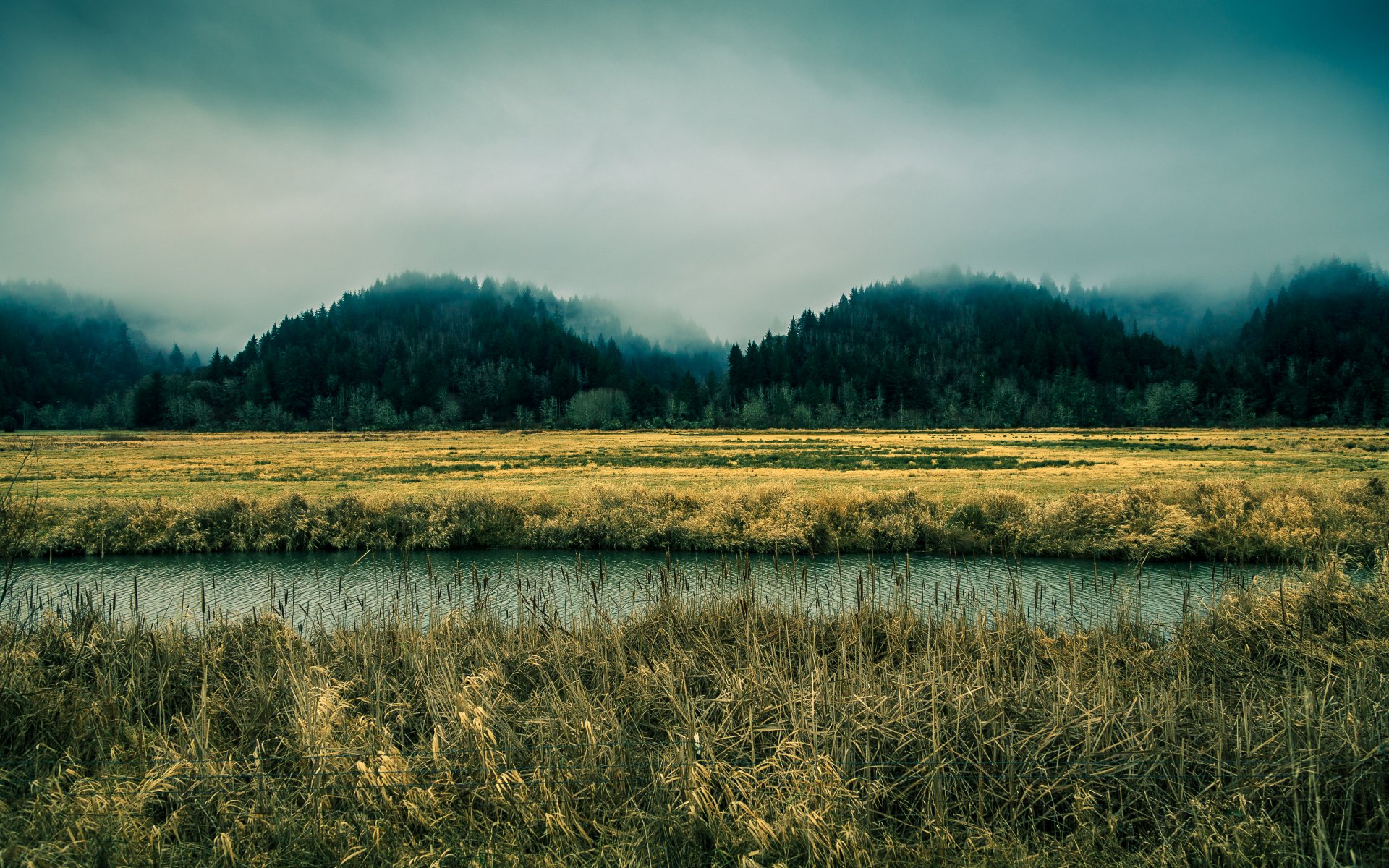 oregon cielo nebbia fiume alberi