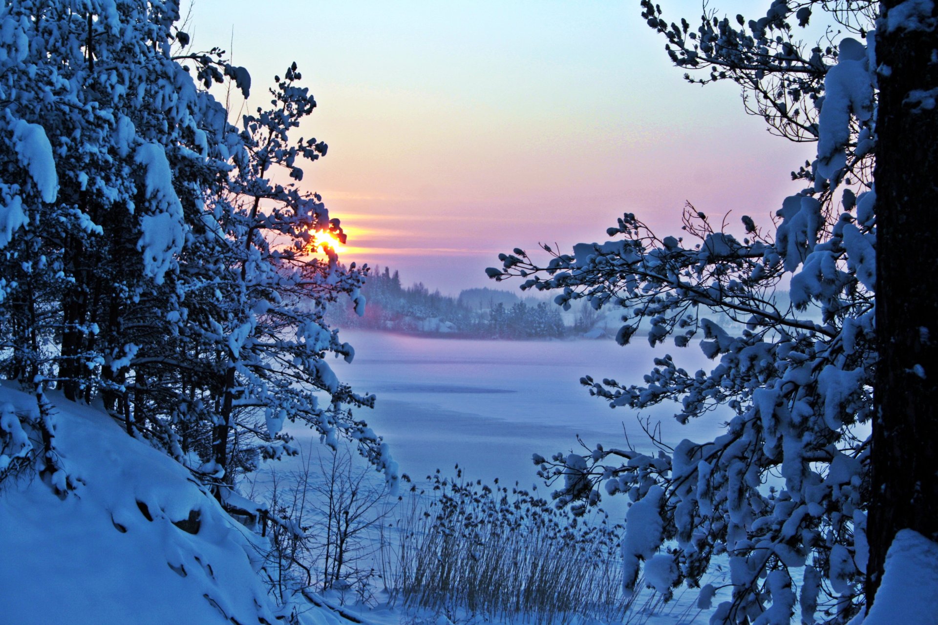 matin neige hiver nature