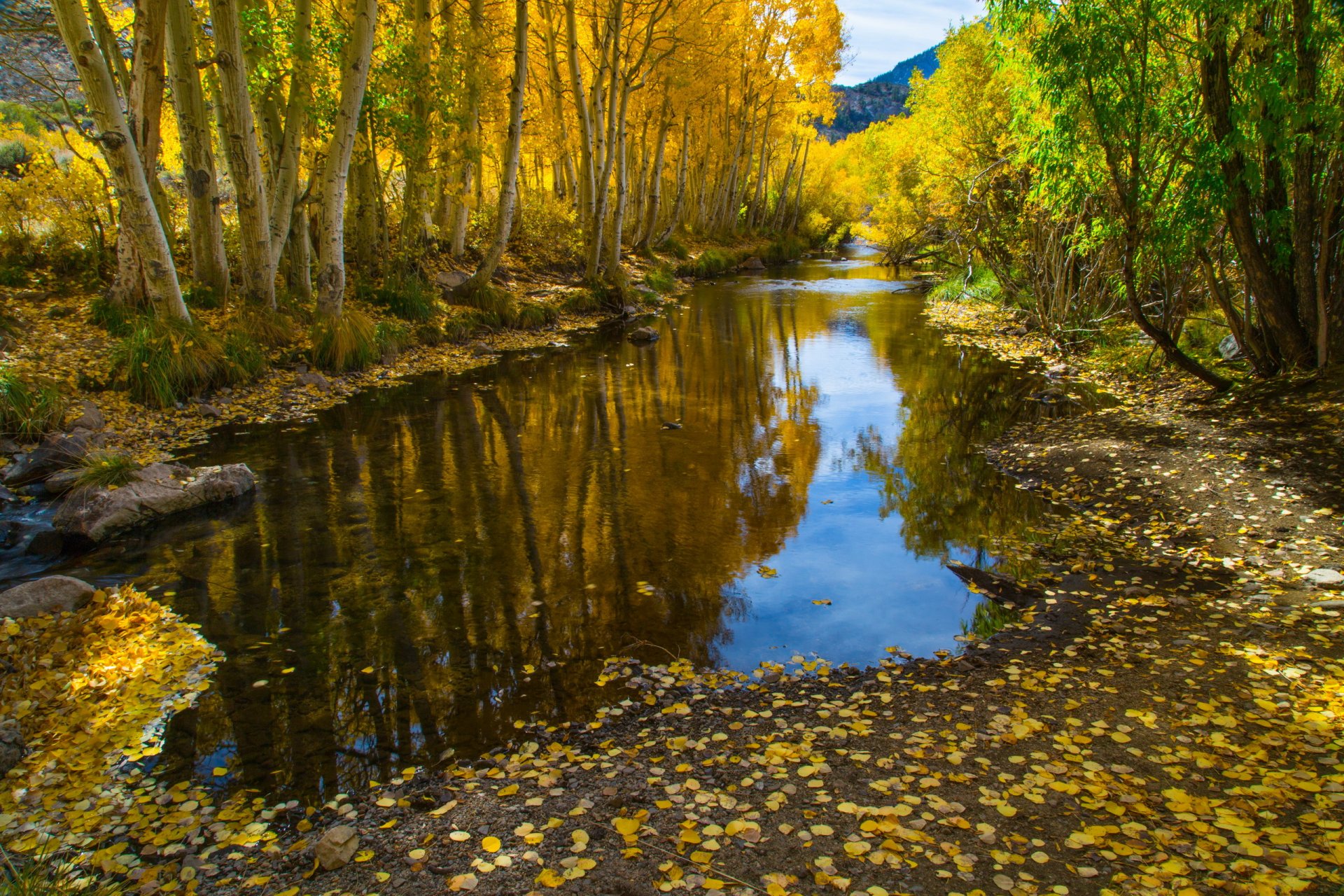 fiume autunno natura paesaggio