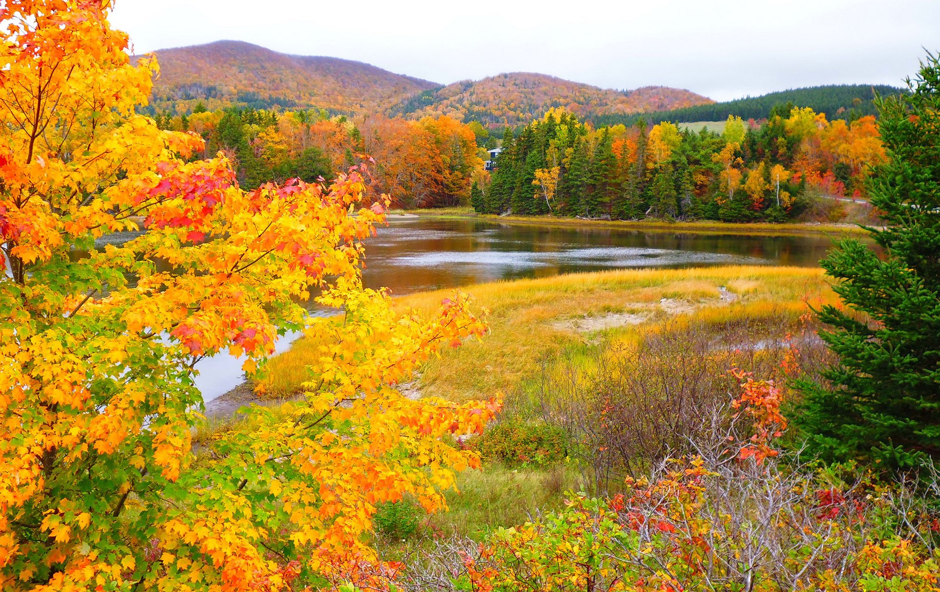 ciel montagnes forêt rivière feuilles arbres automne