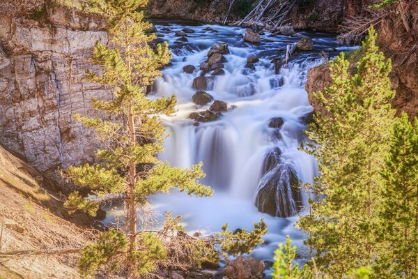 Cascade parmi les rochers et les grands arbres