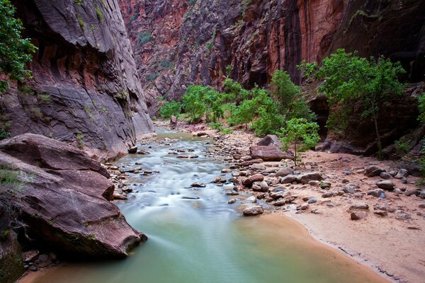 Fluss in den Felsen im Zion Park