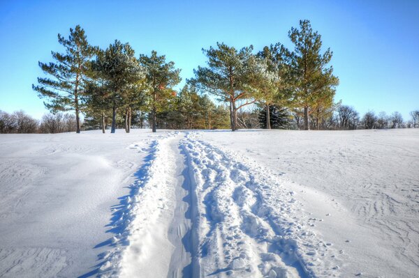 Ausgetretene Strecke im Schnee an einem Wintertag