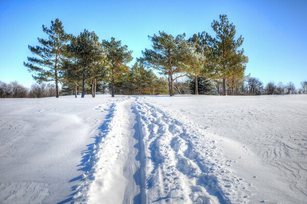Wydeptana ścieżka w śniegu w Zimowy dzień