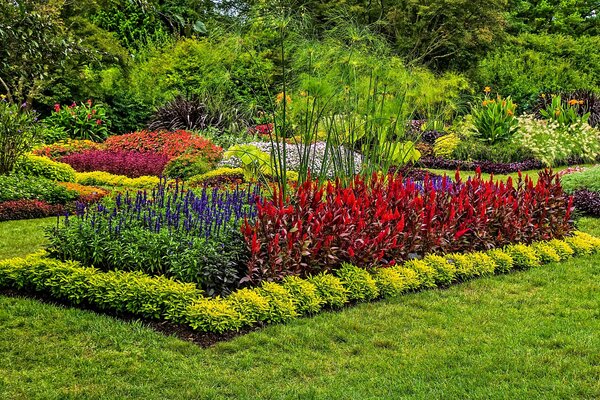 Bunte Blumen in einem Blumenbeet im Park