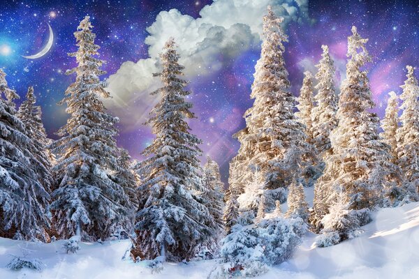 Winter forest in snow trees