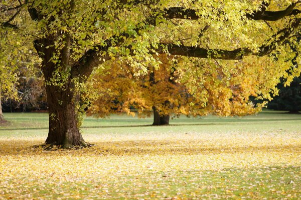 Der Herbst kam mit hellen Farben