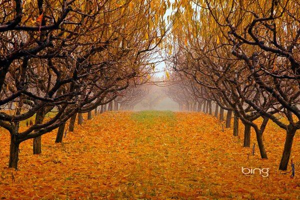 Columbia británica, Canadá, valle de Okanagan