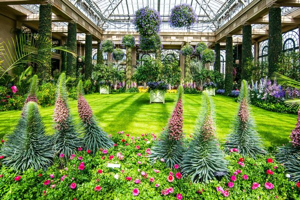 Beau parc avec des couleurs différentes