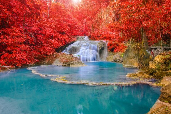 Vivido paesaggio succulento con cascata e fogliame autunnale