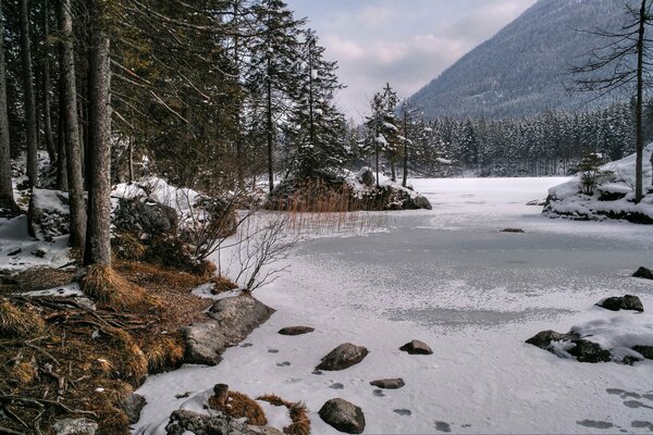 Winter Natur inmitten der Berge