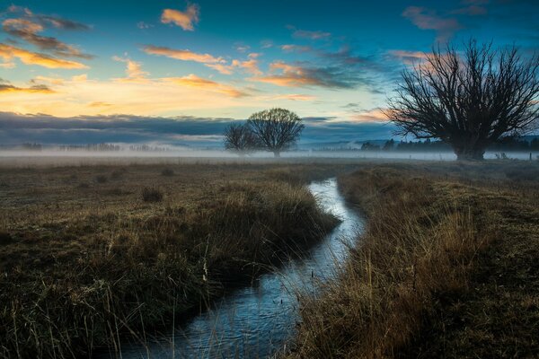 Ruisseau dans le champ le matin brumeux