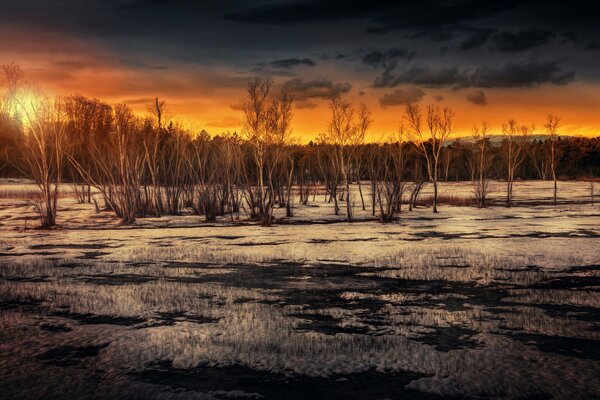 La puesta de sol en el pantano es magnífica