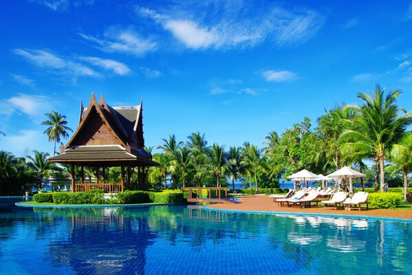 The perfect vacation. Sun, palm trees and swimming pool