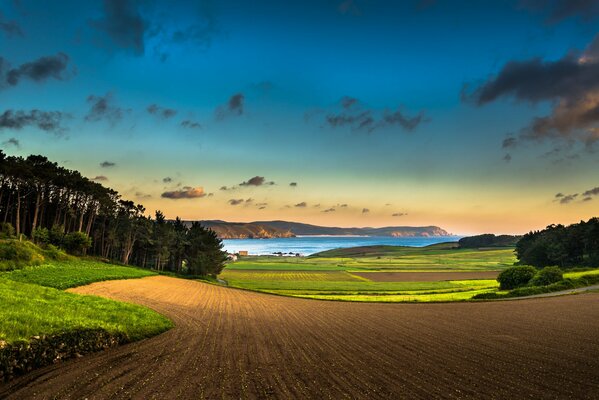 Forest landscape and plowed field