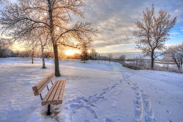 A lonely bench on a trampled snow-covered purple meadow against the background of snow-covered trees and the setting sun