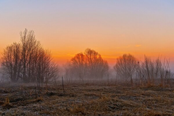 Nature au coucher du soleil . champs et brouillard