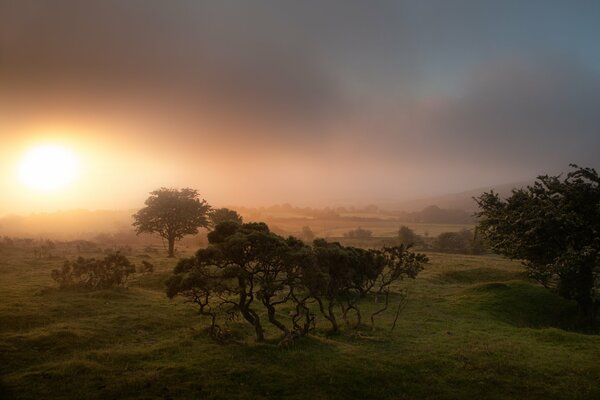 Morning fog, sunrise