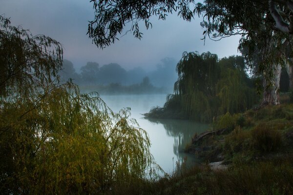 Matin brumeux sur la côte de la rivière