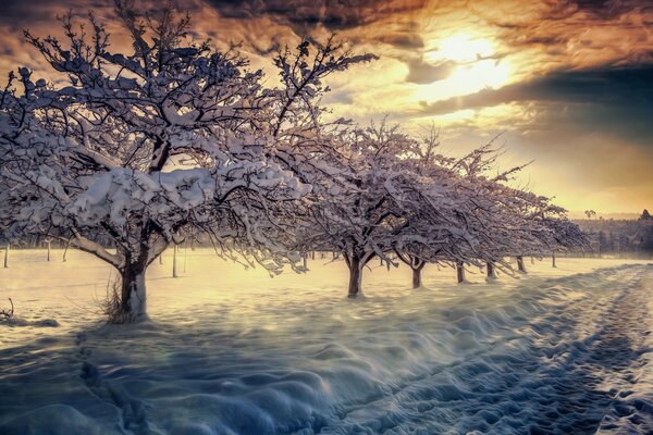 Paesaggio invernale con neve all alba