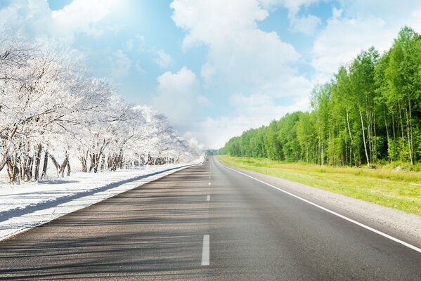 Strada che separa la foresta invernale ed estiva