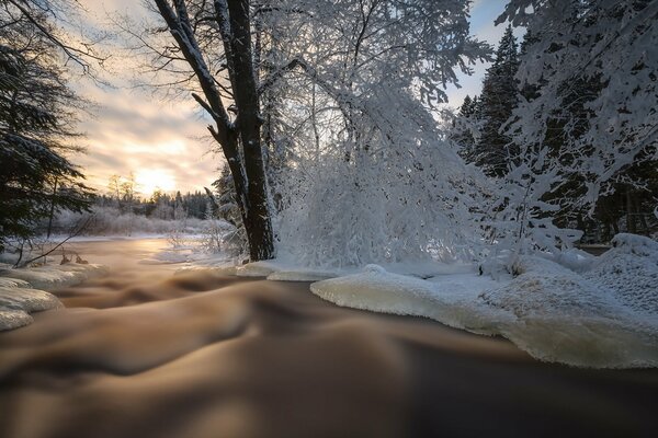 Pesage invernale con alberi innevati