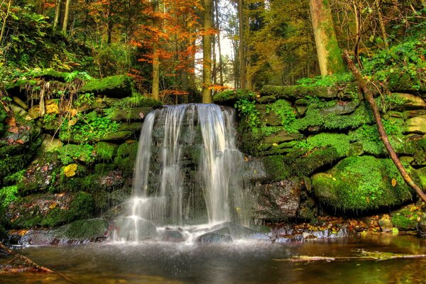 Kleiner Wasserfall im Herbstwald