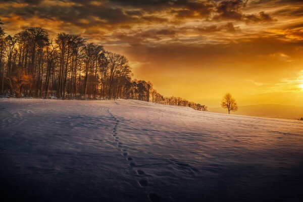 Tramonto invernale sul pendio dei cumuli di neve