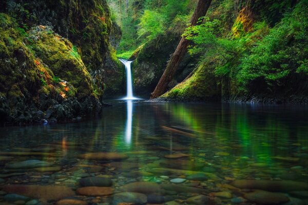 Wald kleiner Wasserfall in den USA
