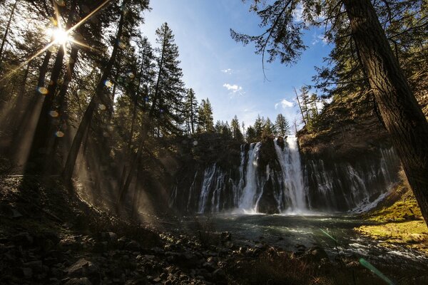 Alta cascata nella foresta estiva