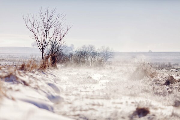 Hermosa vista del paisaje de invierno