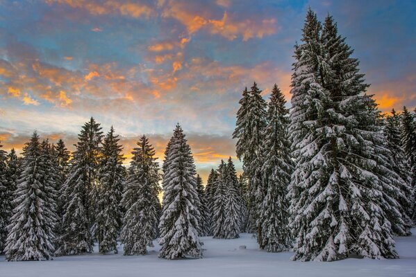 Mangé nuages de neige matin