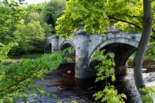 Eine Ziegelbrücke. Der Fluss. Sommer