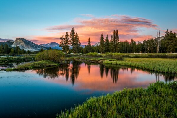 Paesaggio della natura sullo sfondo del tramonto