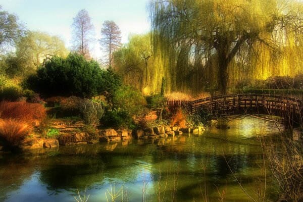 Parque con el puente del río y el sauce