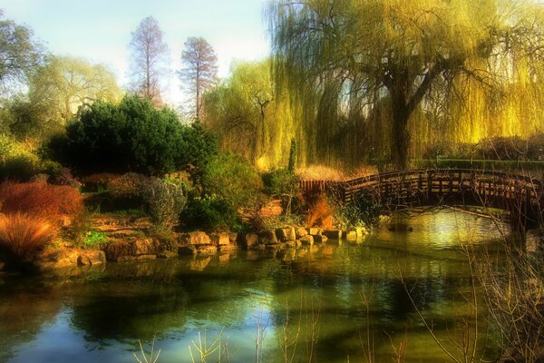 Park z rzeką mostem i wierzbą
