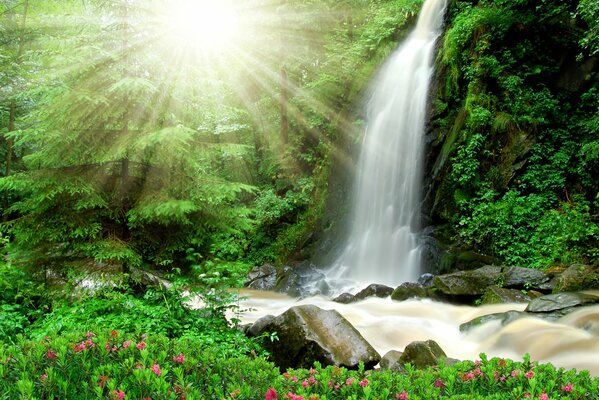 Cascata sotto i raggi del sole splendente