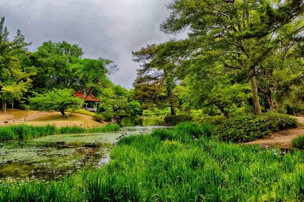 Casa japonesa entre hierba y árboles