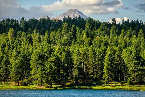 The forest at the foot of the volcano and the lake